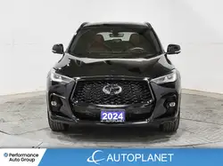 Infiniti QX50 2024