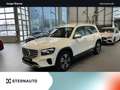 Mercedes-Benz GLB 200 GLB 200 d Progr Multibeam RüKam Distro AHK Keyl Weiß - thumbnail 1