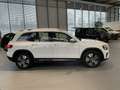 Mercedes-Benz GLB 200 GLB 200 d Progr Multibeam RüKam Distro AHK Keyl Weiß - thumbnail 8