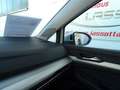 Volkswagen Golf Variant 2.0 TDI DSG Alltrack 4Motion / DCC Bílá - thumbnail 17