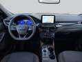 Ford Kuga 2.0 EcoBlue Aut. ST-LINE Grau - thumbnail 11