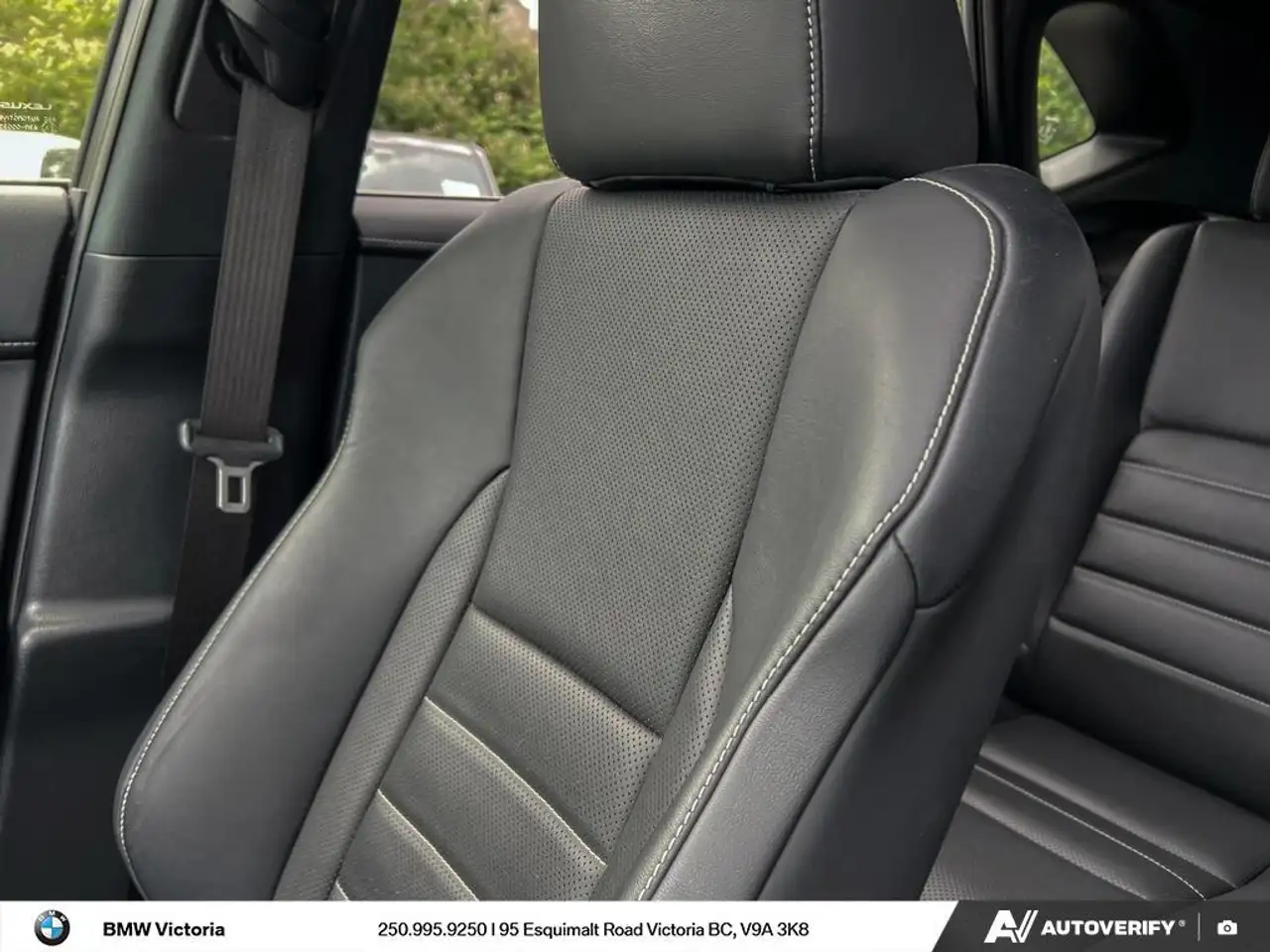 Lexus NX fotografie Lexus NX