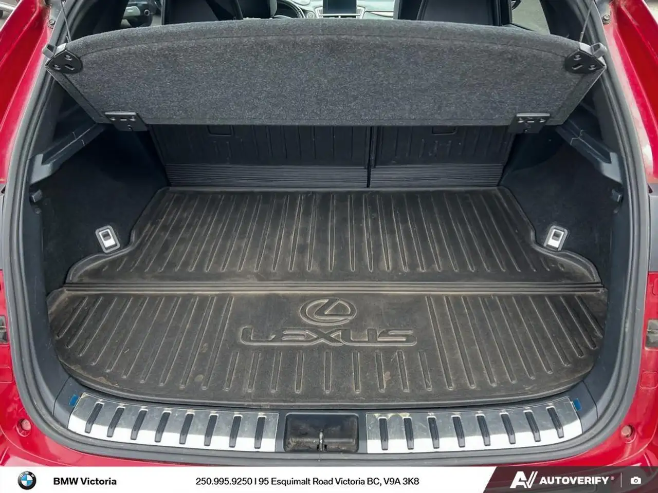 Lexus NX fotografie Lexus NX
