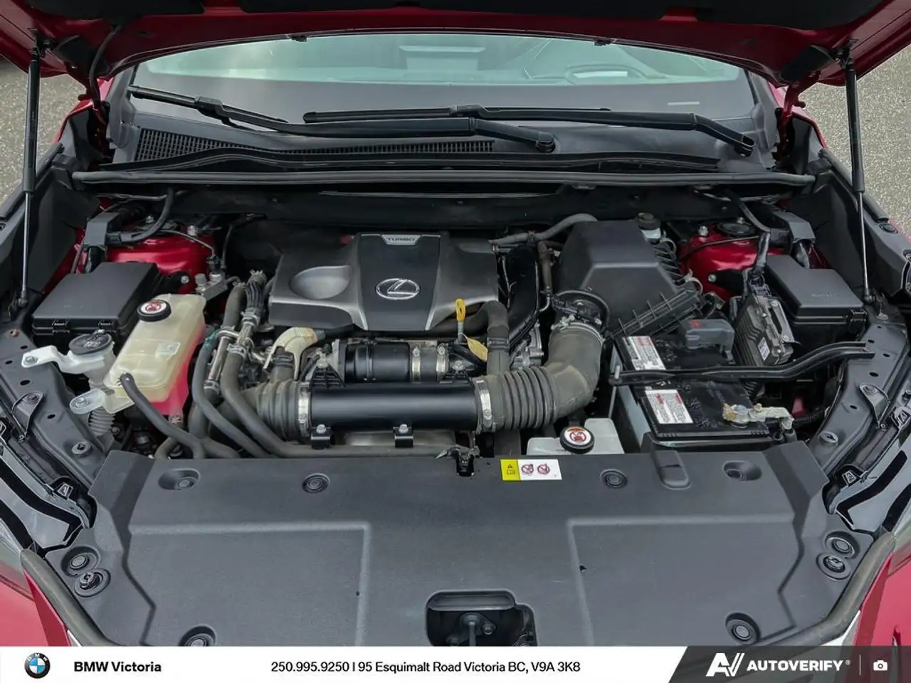 Lexus NX fotografie Lexus NX
