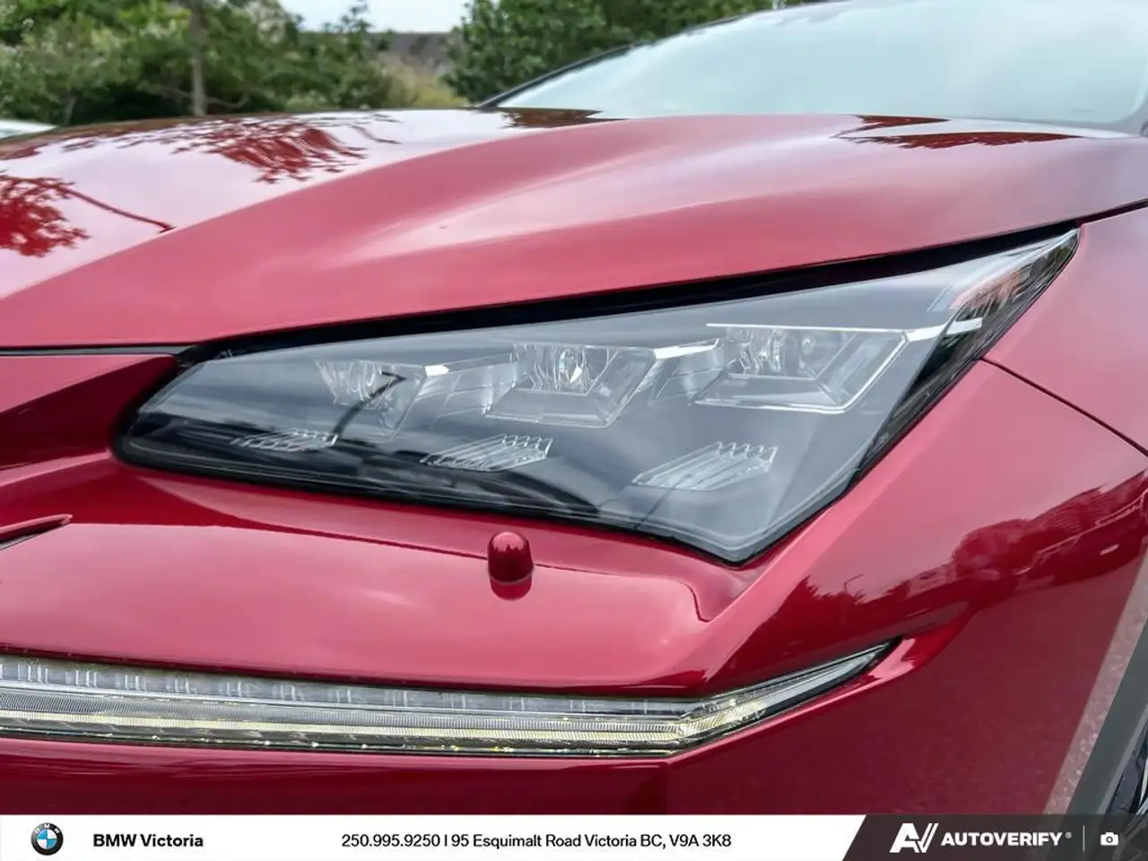 Lexus NX fotografie Lexus NX