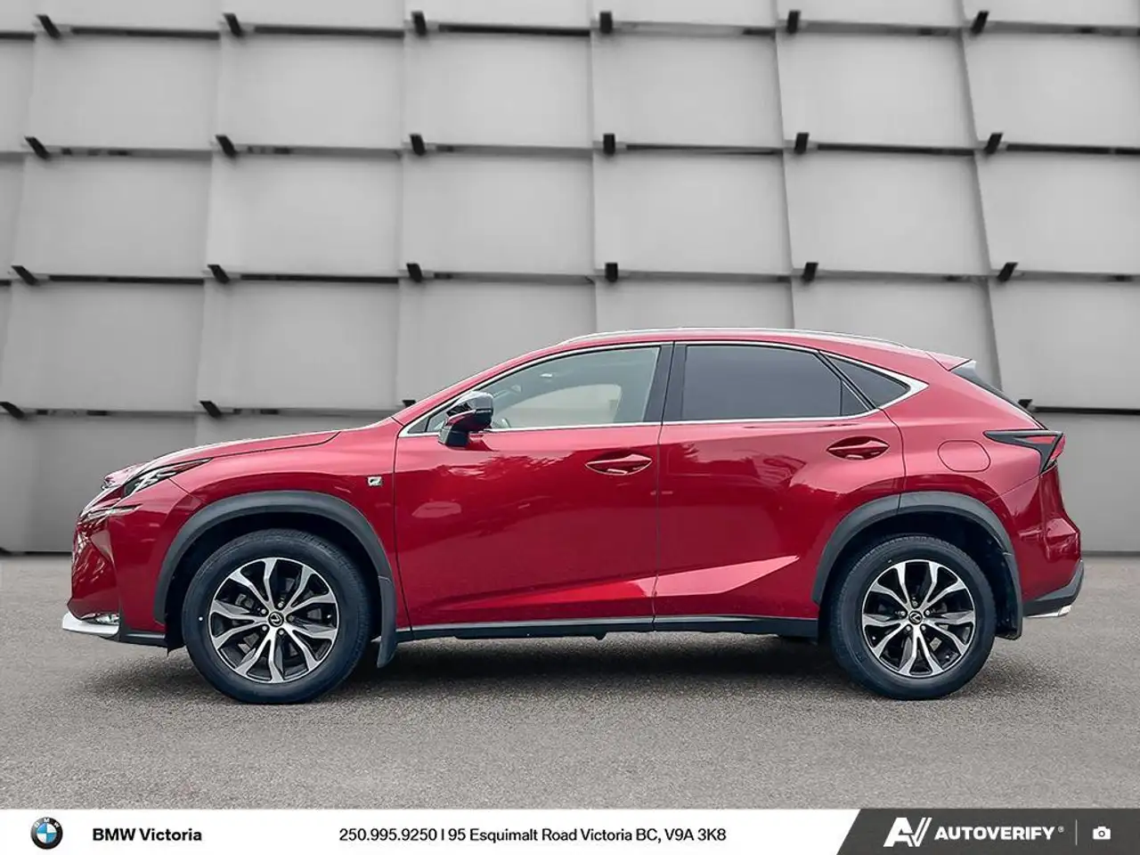 Lexus NX fotografie Lexus NX