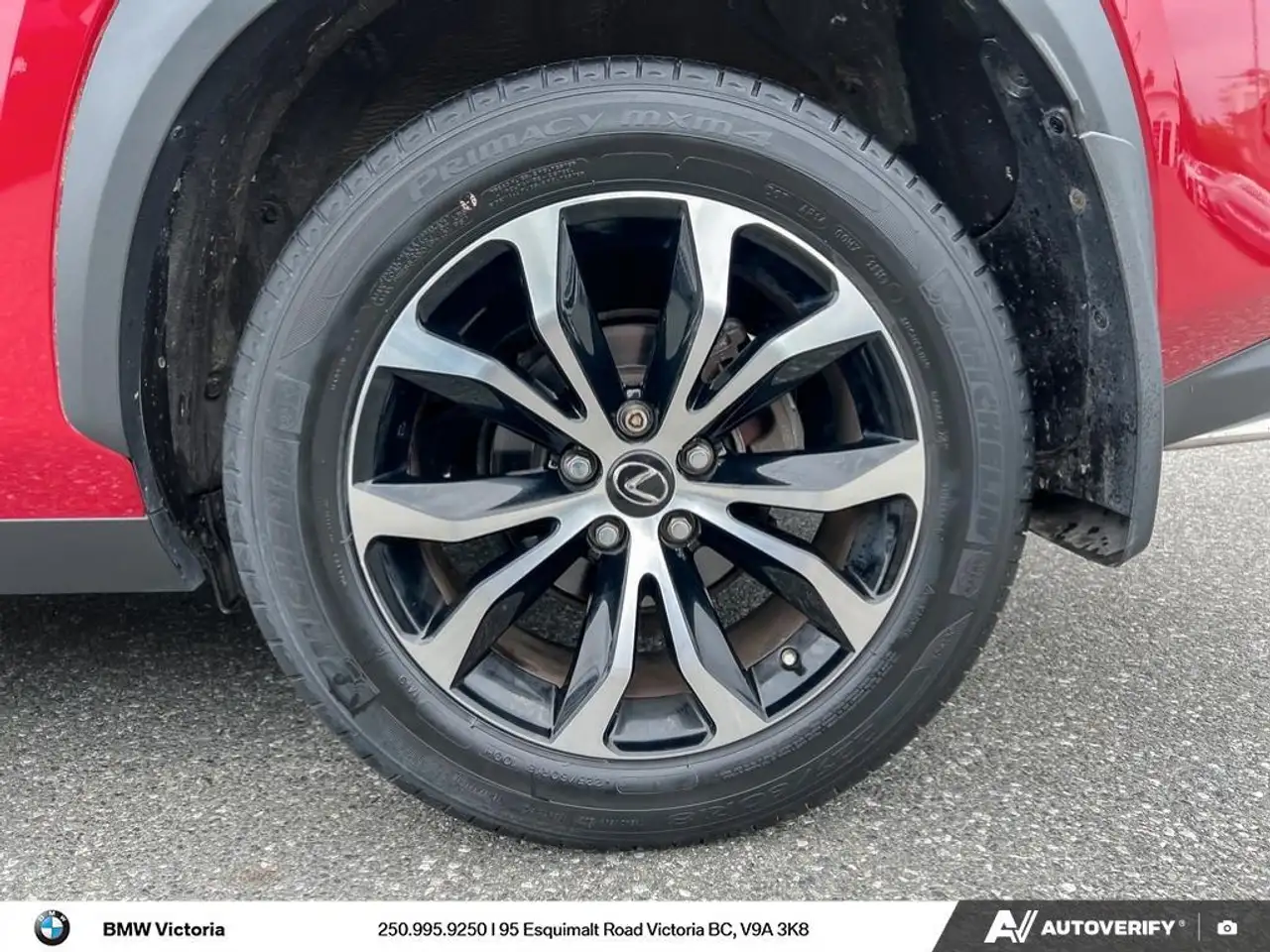 Lexus NX fotografie Lexus NX