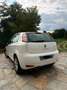 Fiat Punto Evo 5p 1.3 mjt Dynamic 75cv - thumbnail 2
