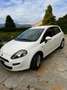 Fiat Punto Evo 5p 1.3 mjt Dynamic 75cv - thumbnail 1