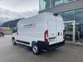 Fiat Ducato MAXI 35 L2H2 140 Weiß - thumbnail 3