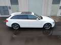 Audi A4 Avant 2.0TDI DPF S line ed. Mult. 177 Blanco - thumbnail 6