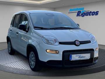1.0 Mild-Hybrid DAB, Tempomat, Einparkhilfe