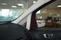 Ford EcoSport 1.0 EcoBoost Active 125 Rot - thumbnail 33