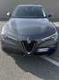 Alfa Romeo Stelvio Stelvio 2020 2.2 t Business Q4 190cv auto Gris - thumbnail 2