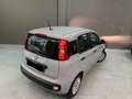 Fiat Panda Panda 1.0 FireFly S&S Hybrid City Life Grigio - thumbnail 7