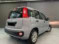 Fiat Panda Panda 1.0 FireFly S&S Hybrid City Life Grigio - thumbnail 9