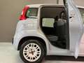 Fiat Panda Panda 1.0 FireFly S&S Hybrid City Life Grigio - thumbnail 15