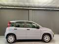 Fiat Panda Panda 1.0 FireFly S&S Hybrid City Life Grigio - thumbnail 8