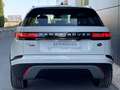 Land Rover Range Rover Velar 2.0D Standard 4WD Aut. 180 Bianco - thumbnail 7