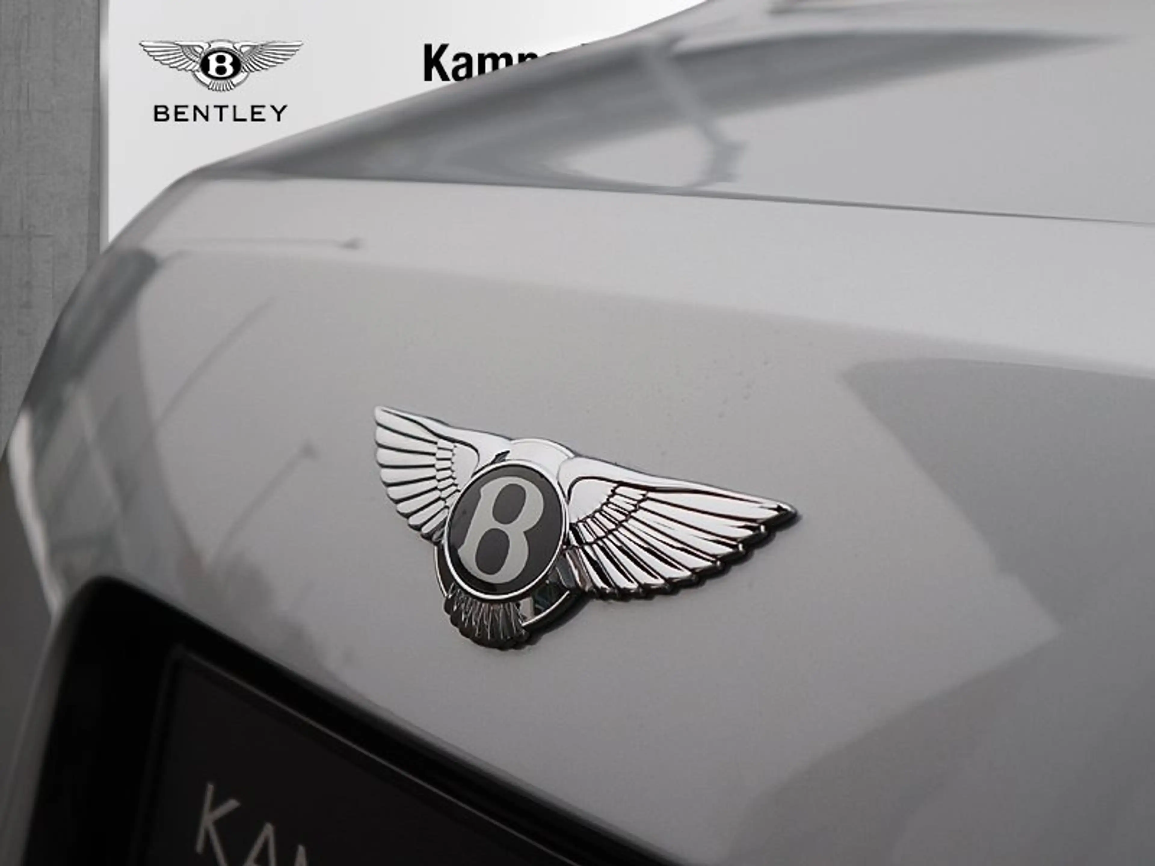 Bentley Mulsanne *Duo Tone*Glasdach*Diamond Quilting* — photo 10