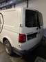 Volkswagen T6 Transporter LR Weiß - thumbnail 5