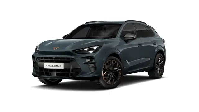 CUPRA Terramar VZ Performance | 360 graden camera | Achteruitrijc