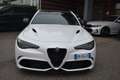 Alfa Romeo Giulia Giulia 2.9 t V6 Quadrifoglio 510cv Weiß - thumbnail 4