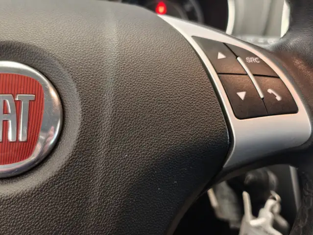 Fiat Punto Evo view 14