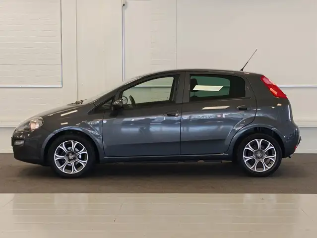 Fiat Punto Evo view 3