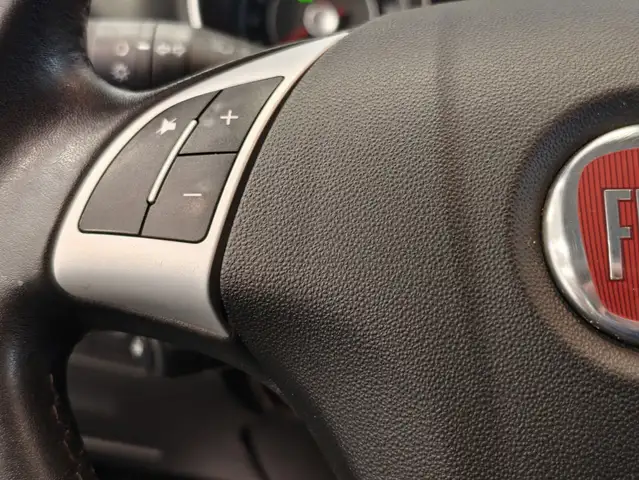 Fiat Punto Evo view 13