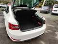 Skoda Superb Superb 1.4 TSI Ambition Wit - thumbnail 3
