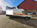 Iveco Daily 35 C 15 / 2.3 D - thumbnail 3