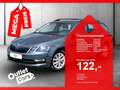 Skoda Octavia Combi 1.6 TDI Ambition DynLicht+LM+PDC Grau - thumbnail 1