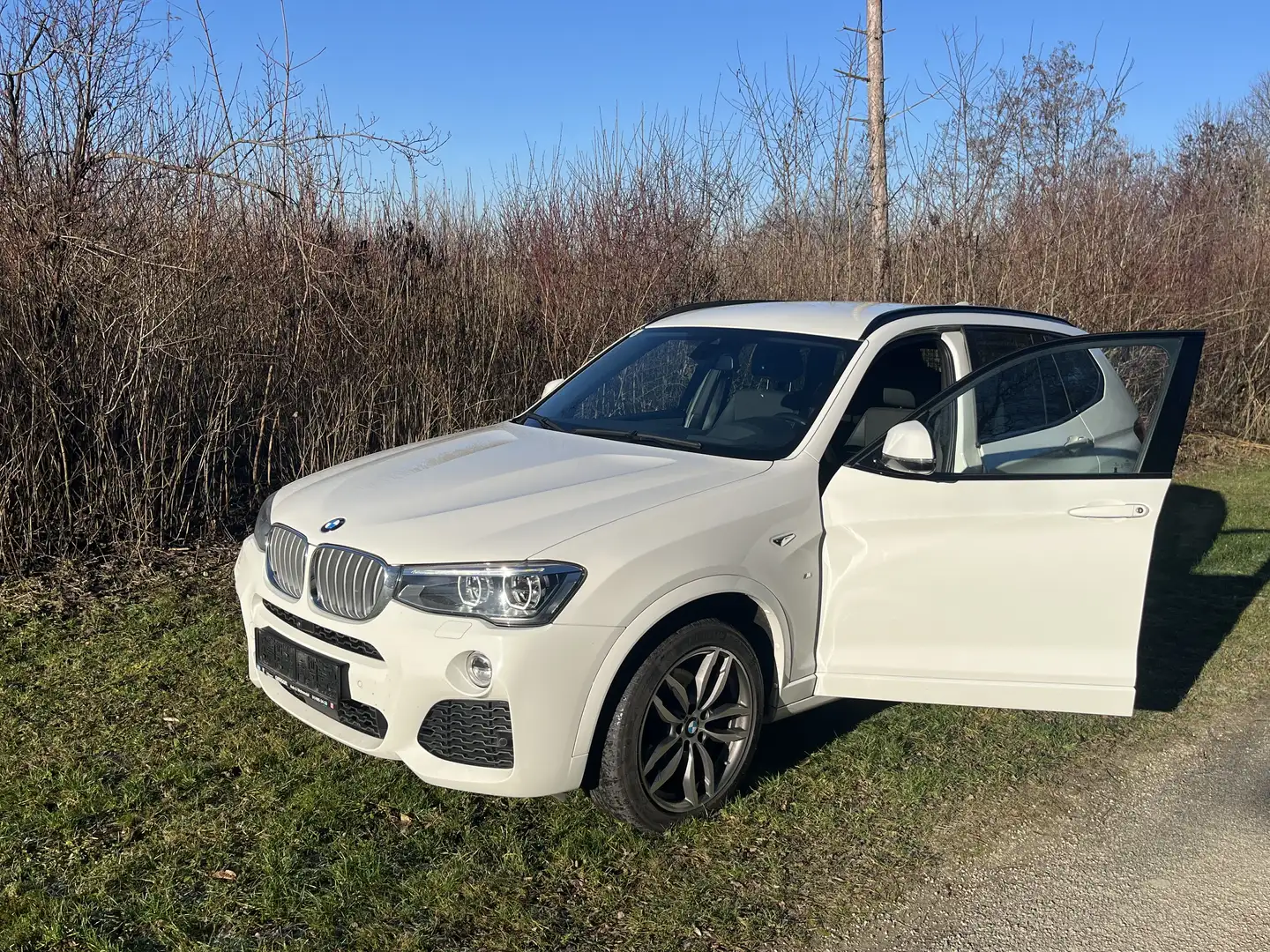 BMW X3 M xDrive30d Sport Aut. - 2