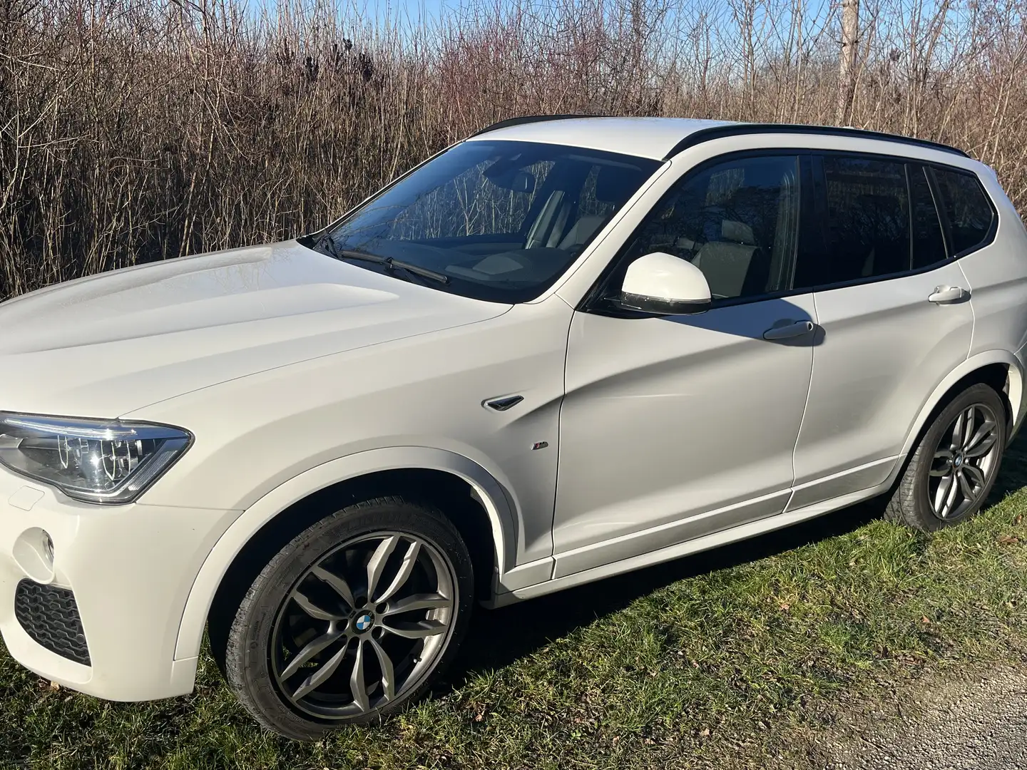 BMW X3 M xDrive30d Sport Aut. - 1