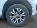 Ford Ranger RANGER SUPER CABINE 2.0 ECOBLUE 213 BV10 WILDTRAK Weiß - thumbnail 13