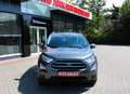 Ford EcoSport Cool & Connect Navi Tempomat SH Scheckh Grau - thumbnail 3