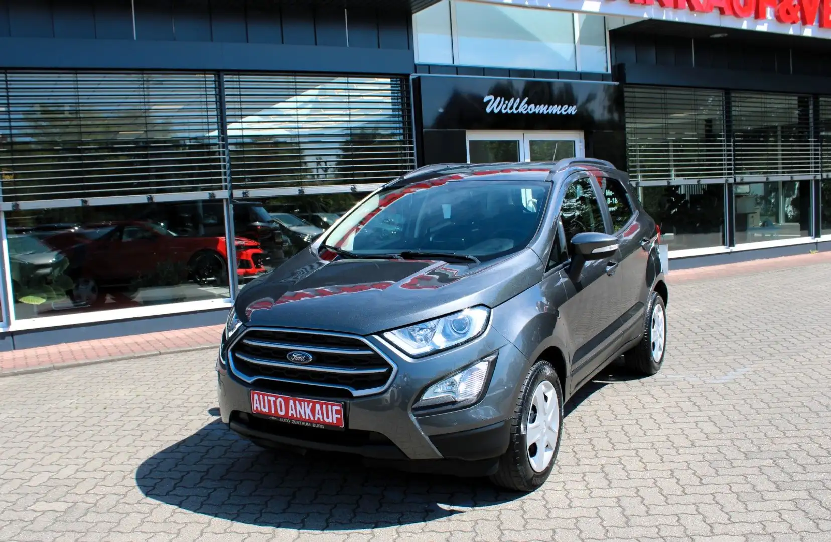 Ford EcoSport Cool & Connect Navi Tempomat SH Scheckh Grau - 2