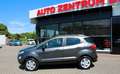 Ford EcoSport Cool & Connect Navi Tempomat SH Scheckh Grau - thumbnail 9
