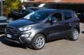 Ford EcoSport EcoSport 1.0 ecoboost Titanium s Grau - thumbnail 1