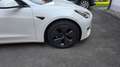 Tesla Model 3 Standard Range Plus 2021 Weiß - thumbnail 13