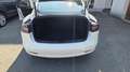 Tesla Model 3 Standard Range Plus 2021 Weiß - thumbnail 5