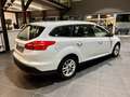 Ford Focus 2.0 TDCi 150 CV Start&Stop SW Titanium X Bianco - thumbnail 5