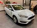 Ford Focus 2.0 TDCi 150 CV Start&Stop SW Titanium X Bianco - thumbnail 3