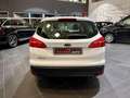 Ford Focus 2.0 TDCi 150 CV Start&Stop SW Titanium X Bianco - thumbnail 6