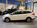 Ford Focus 2.0 TDCi 150 CV Start&Stop SW Titanium X Bianco - thumbnail 8