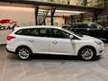 Ford Focus 2.0 TDCi 150 CV Start&Stop SW Titanium X Bianco - thumbnail 4
