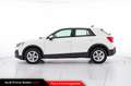 Audi Q2 30 TDI Business Bianco - thumbnail 3
