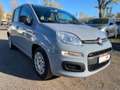 Fiat Panda Panda 1.0 firefly hybrid EASY, IVA ESPOSTA Grigio - thumbnail 1