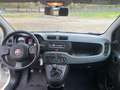 Fiat Panda Panda 1.0 firefly hybrid EASY, IVA ESPOSTA Gris - thumbnail 7